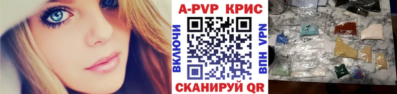 сколько стоит Рыбное shop Telegram A PVP СК