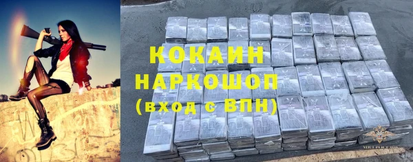 соль ск Алексеевка