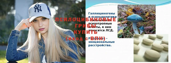 соль ск Алексеевка