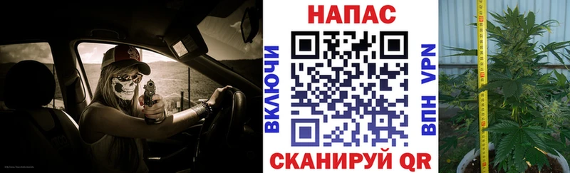 Шишки марихуана ГИДРОПОН  Рыбное 